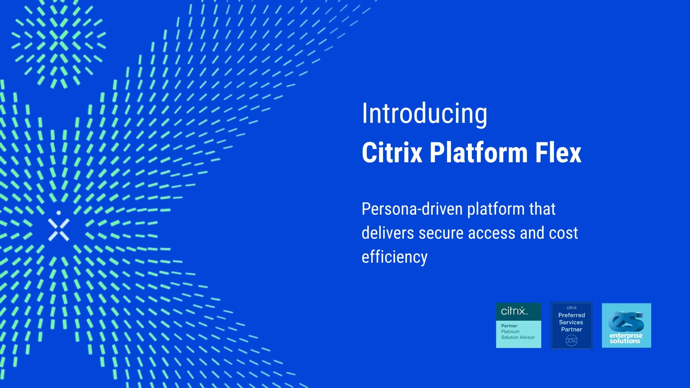 Citrix Platform Flex
